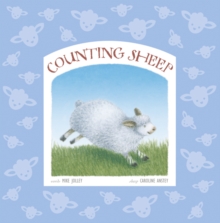 Counting Sheep, Hardback Book Counting Sheep, Hardback Book