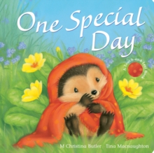 One Special Day, Board book One Special Day, Board book
