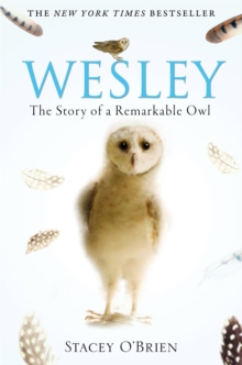 Wesley : The Story of a Remarkable Owl, Paperback Wesley : The Story of a Remarkable Owl, Paperback