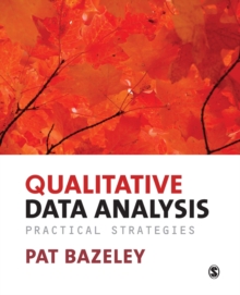 Qualitative Data Analysis : Practical Strategies, Paperback Book Qualitative Data Analysis : Practical Strategies, Paperback Book