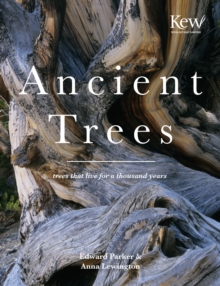 Ancient Trees : Trees That Live for a Thousand Years, Hardback Book Ancient Trees : Trees That Live for a Thousand Years, Hardback Book