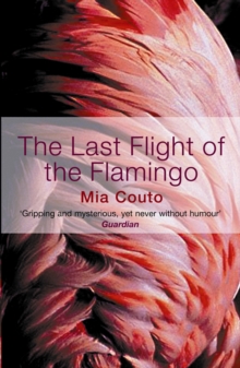 The Last Flight of the Flamingo, Paperback The Last Flight of the Flamingo, Paperback