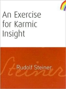 An Exercise for Karmic Insight, Paperback Book An Exercise for Karmic Insight, Paperback Book