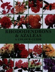 Rhododendrons and Azaleas : A Colour Guide, Hardback Book Rhododendrons and Azaleas : A Colour Guide, Hardback Book