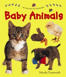 Say and Point Picture Boards: Baby Animals, Board book Book Say and Point Picture Boards: Baby Animals, Board book Book