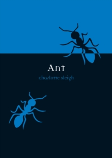Ant, Paperback Book Ant, Paperback Book