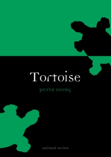 Tortoise, Paperback Book Tortoise, Paperback Book