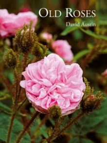 Old Roses, Hardback Book Old Roses, Hardback Book