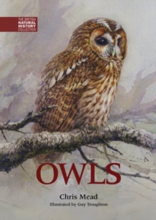 Owls, Hardback Book Owls, Hardback Book