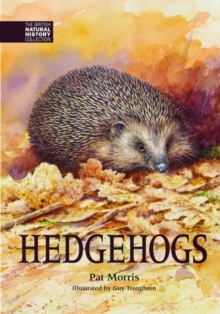 Hedgehogs, Hardback Book Hedgehogs, Hardback Book