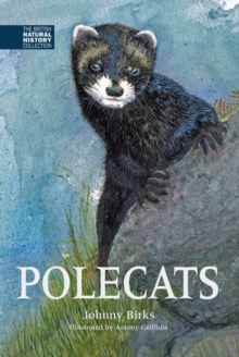 Polecats, Hardback Book Polecats, Hardback Book