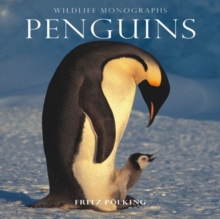 Penguins, Paperback Book Penguins, Paperback Book