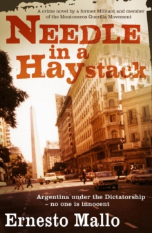 Needle in a Haystack, Paperback Book Needle in a Haystack, Paperback Book