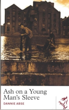 Ash on a Young Man's Sleeve, Paperback Book Ash on a Young Man's Sleeve, Paperback Book
