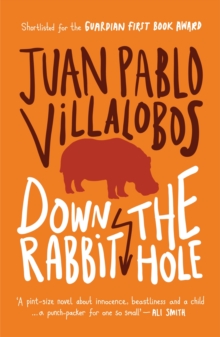 Down the Rabbit Hole, Paperback Book Down the Rabbit Hole, Paperback Book