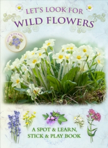 Let's Look for Wild Flowers, Paperback Book Let's Look for Wild Flowers, Paperback Book