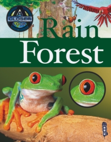 Rainforest, Paperback Rainforest, Paperback