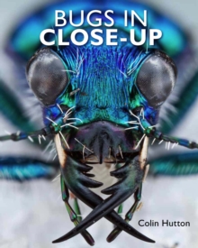 Bugs in Close-Up, Hardback Bugs in Close-Up, Hardback