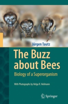 The Buzz About Bees : Biology of a Superorganism, Hardback Book The Buzz About Bees : Biology of a Superorganism, Hardback Book