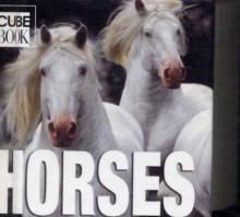 Horses, Hardback Horses, Hardback