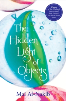The Hidden Light of Objects, Paperback Book The Hidden Light of Objects, Paperback Book