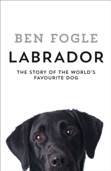 Labrador The Story Of The World S Favourite Dog Ben