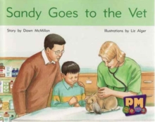 Sandy Goes to the Vet