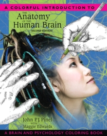 Colorful Introduction to the Anatomy of the Human Brain