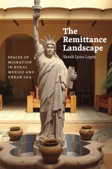 Remittance Landscape