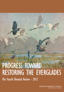 Progress Toward Restoring the Everglades