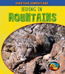 Hiding in Mountains