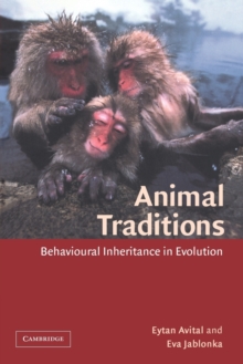 Animal Traditions