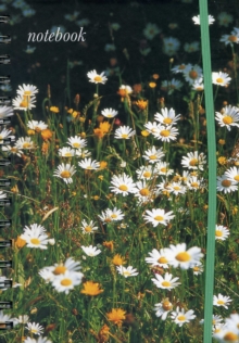Notebook (Field of Daisies)