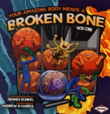 Your Amazing Body Mends a Broken Bone