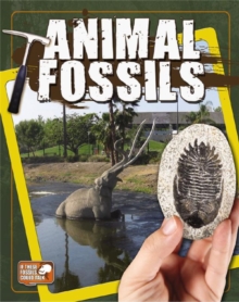 Animal Fossils