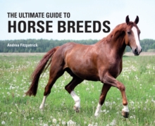 Ultimate Guide to Horse Breeds