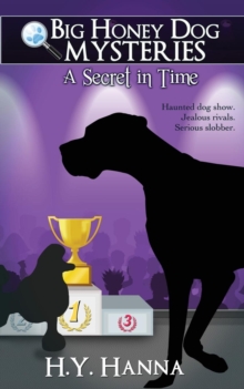 Secret in Time