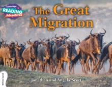 Great Migration White Band