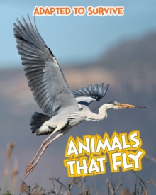 Adapted to Survive: Animals That Fly