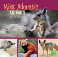All About Animals