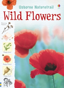 Wild Flowers