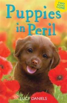 Puppies in Peril