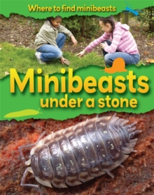 Where to Find Minibeasts: Minibeasts Under a Stone