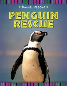 Penguin Rescue