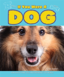 If You Were a Dog