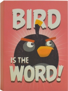 ANGRY BIRDS STICKY NOTES