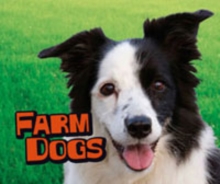 Farm Animals Pack A
