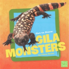 Get to Know Gila Monsters