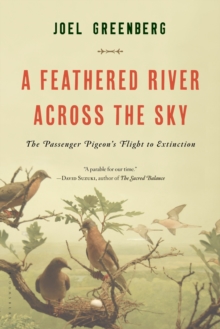Feathered River Across the Sky