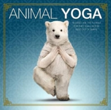 Animal Yoga